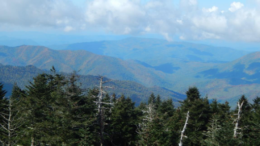 View of rolling hills and landscape from Clingman's Dome.